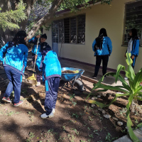 Los estudiantes cuidando del medio ambiente