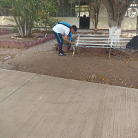 Los estudiantes cuidando del medio ambiente