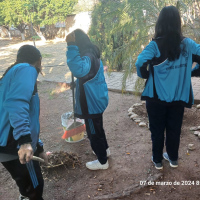 Los estudiantes cuidando del medio ambiente