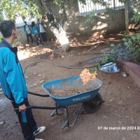 Los estudiantes cuidando del medio ambiente